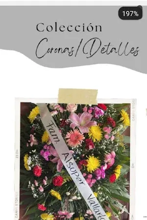 Funerales Hernández Centro