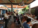 MARIACHI MADRUGADOR DE MORELOS